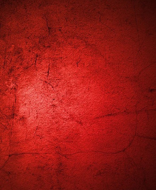 Johnson Scarlet Dark red backd - Photography Dark Cloth 评论和价格