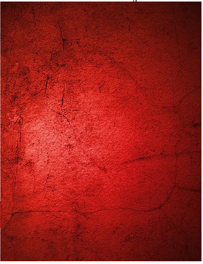 Johnson Scarlet Dark red backd - Photography Dark Cloth 评论和价格