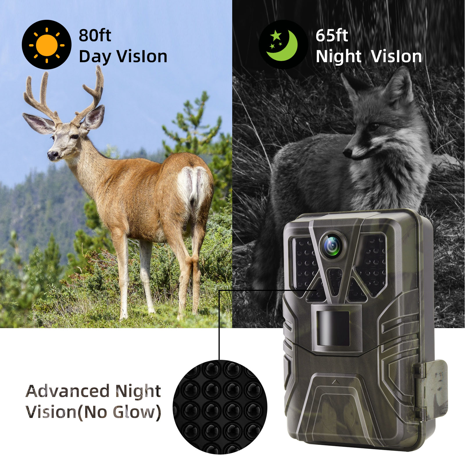 Wildlife Trail Camera 36MP 2.7 - Photography Term 评论和价格