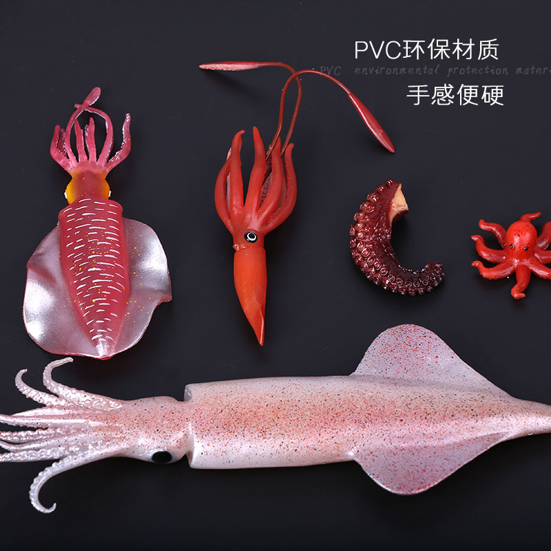 Simulation Squid Model Kitchen - Photography Of Food 评论和价格